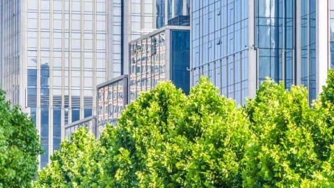 The Greenest Cities in America