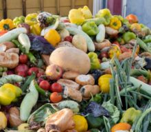 Food Waste in the U.S.: A Farm to Fork Journey