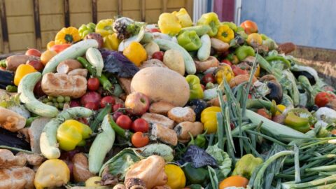 FOOD WASTE IN THE U.S. A FARM TO FORK JOURNEY
