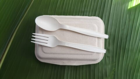 bioplastic plastic pollution solution