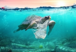 Group logo of Plastic Pollution